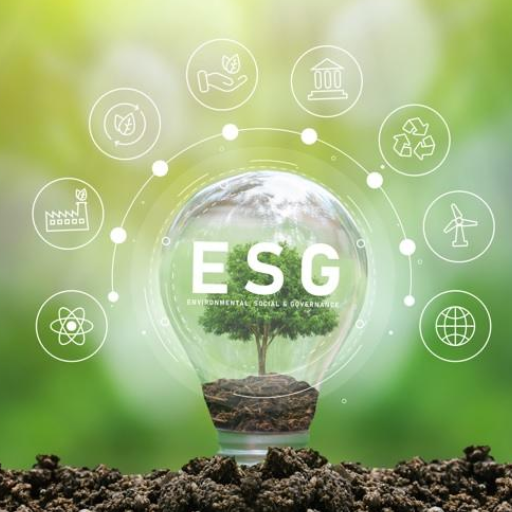 ESG Reporting Services